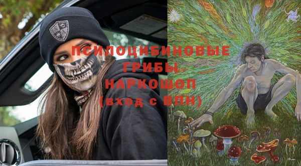 ПСИЛОЦИБИНОВЫЕ ГРИБЫ Переславль-Залесский