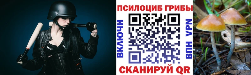 как найти закладки  это какой сайт  Галлюциногенные грибы MAGIC MUSHROOMS  Абдулино 
